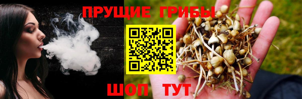 Галлюциногенные грибы мицелий  Вход с VPN  Псилоцибиновые грибы Psilocybine cubensis  где купить   Великие Луки 