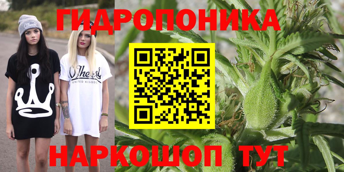 Конопля сатива Великие Луки